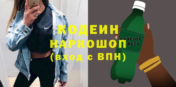 шишки Арсеньев