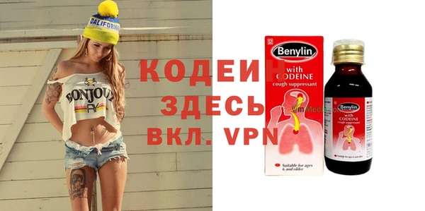 шишки Арсеньев