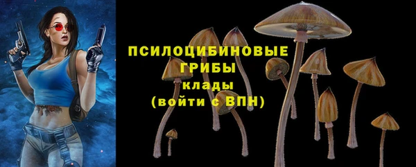шишки Арсеньев