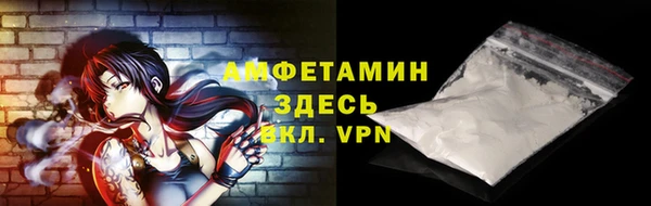 шишки Арсеньев
