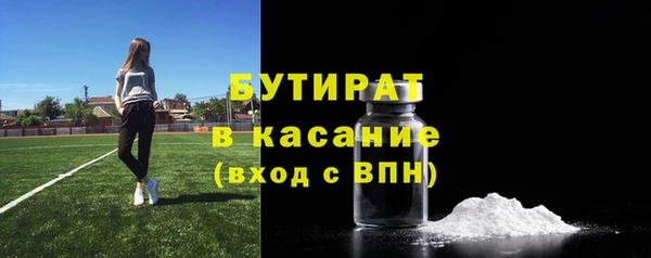 шишки Арсеньев