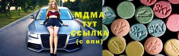 шишки Арсеньев