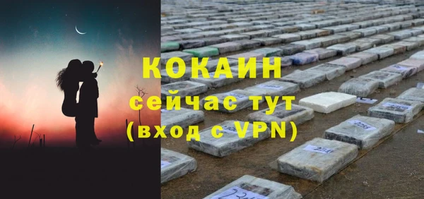 шишки Арсеньев